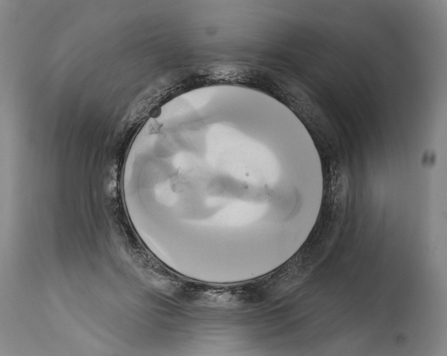 X0000115090502200911171220