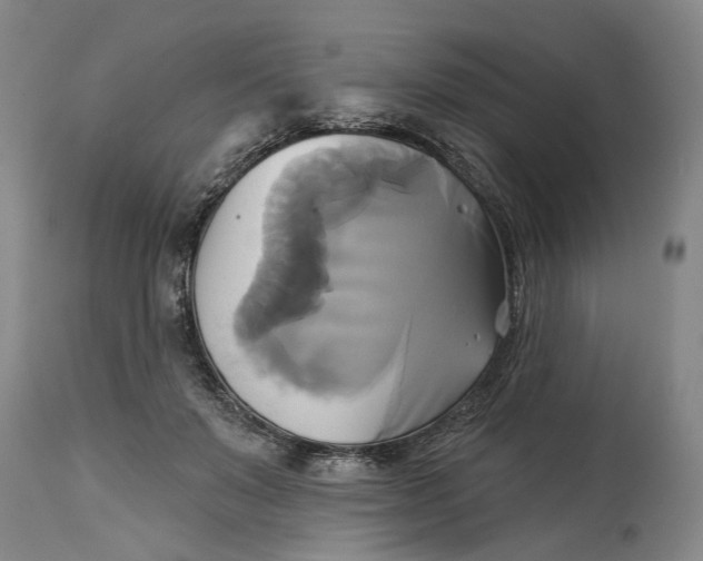 X0000115090503200911171220