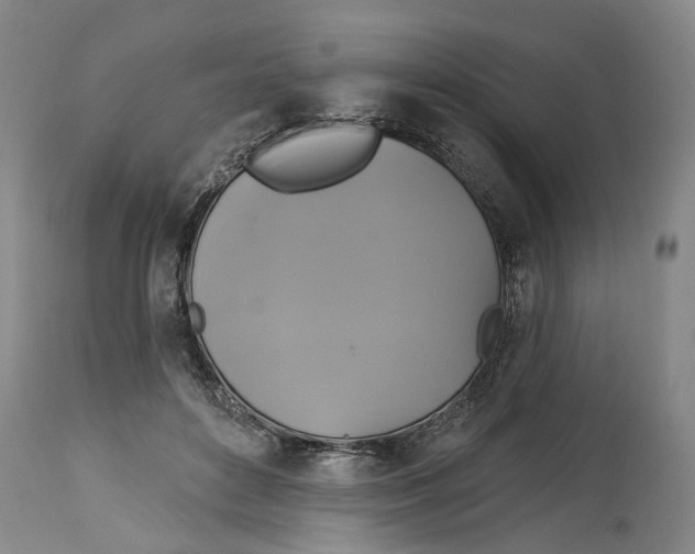 X0000115090504200911171220