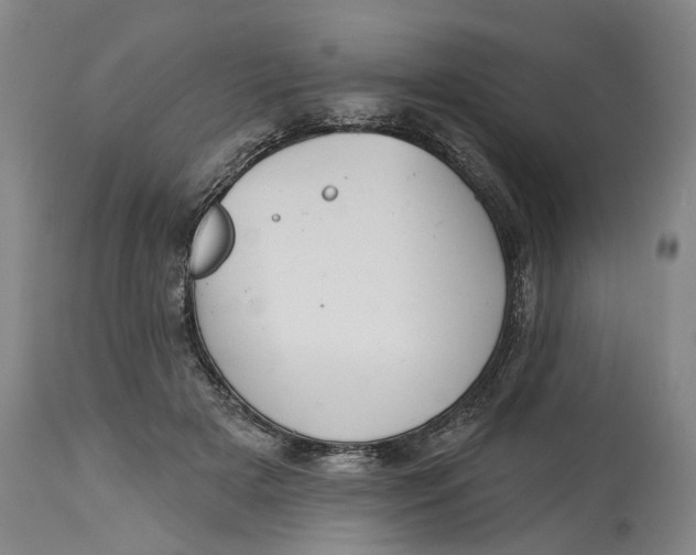 X0000115090505200911171220