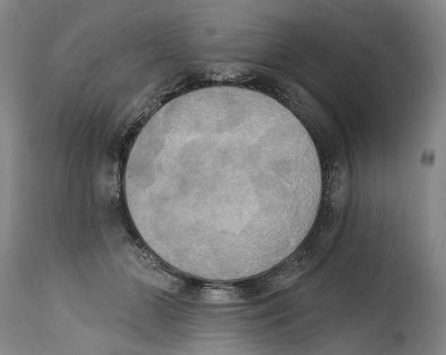 X0000115090510200911171220