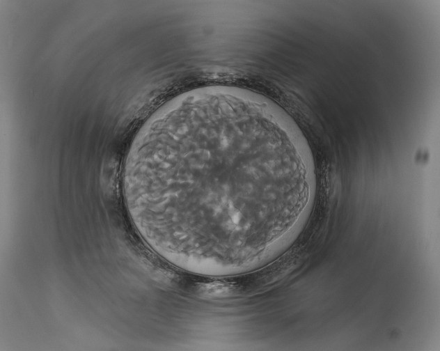 X0000115090511200911171220