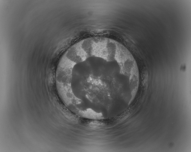 X0000115090515200911171220