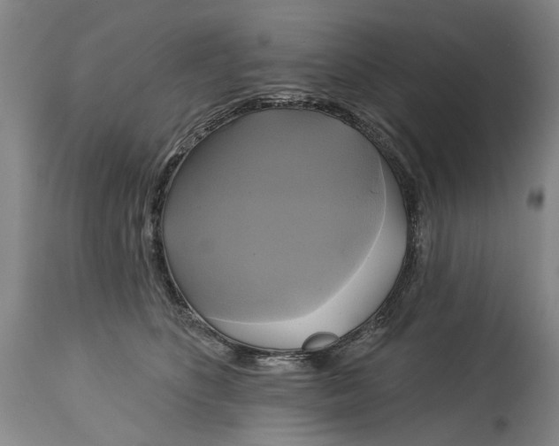 X0000115090516200911171220