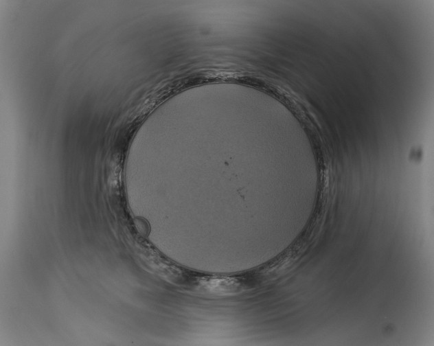 X0000115090517200911171220
