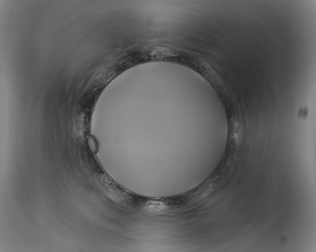 X0000115090519200911171220