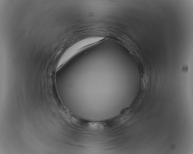 X0000115090520200911171220
