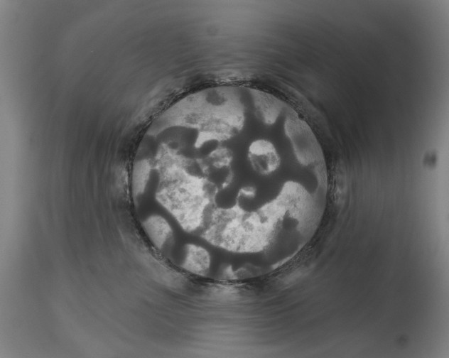 X0000115090523200911171220