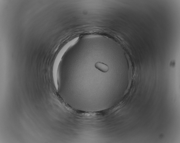 X0000115090524200911171220