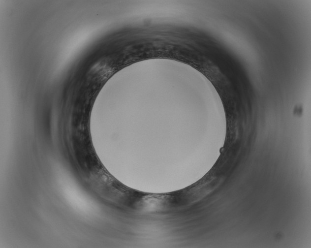 X0000115090526200911171220