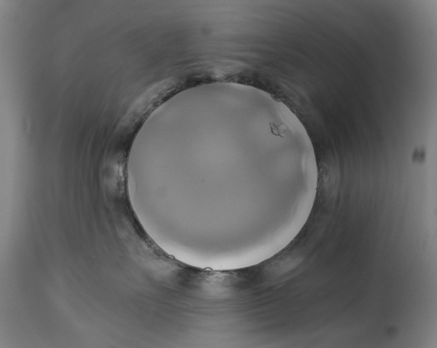 X0000115090527200911171220