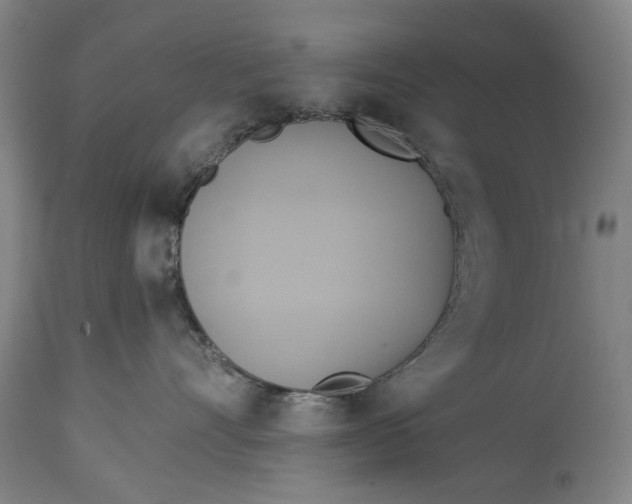 X0000115090528200911171220