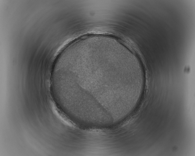 X0000115090530200911171219
