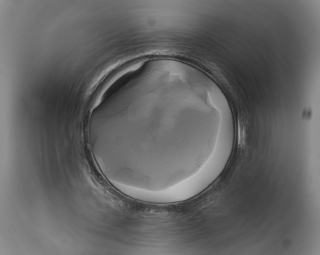 X0000115090531200911171219