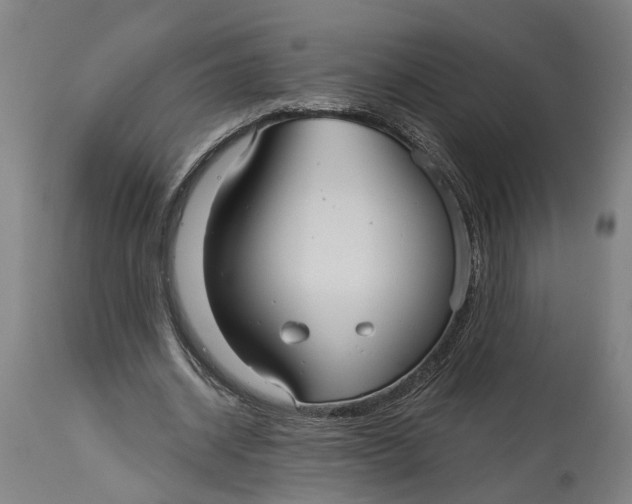 X0000115090534200911171219