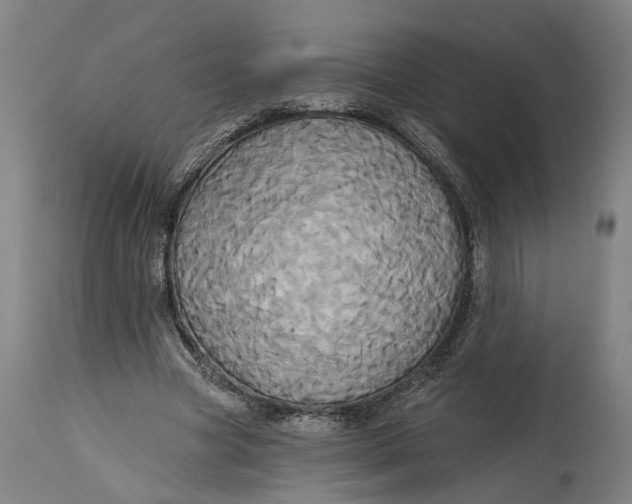 X0000115090537200911171219