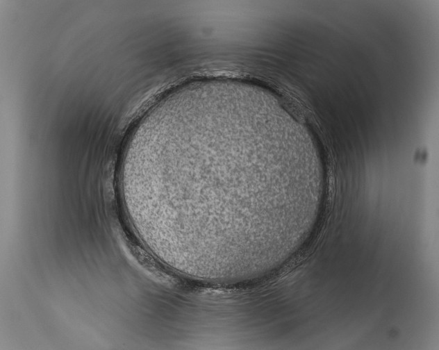 X0000115090538200911171219