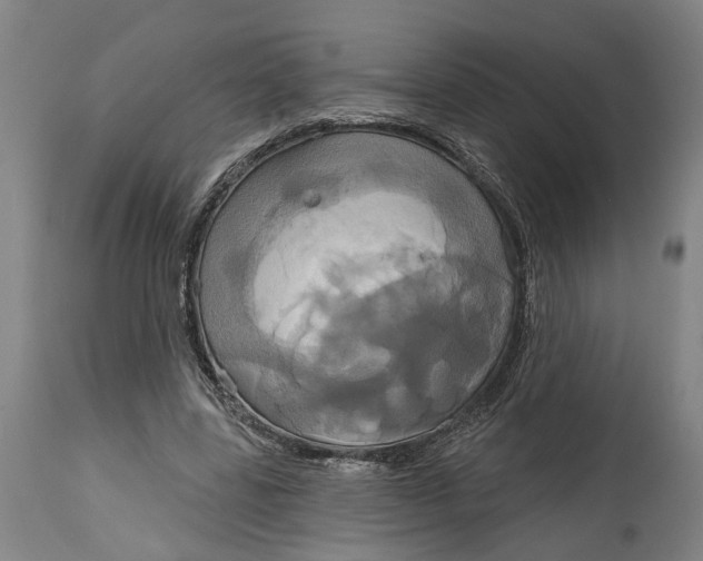 X0000115090539200911171219