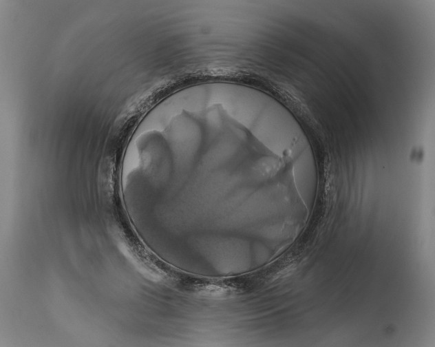 X0000115090542200911171219