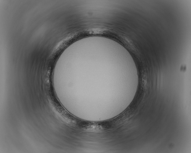 X0000115090543200911171220