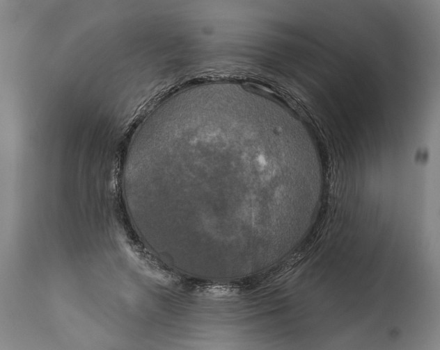 X0000115090546200911171220