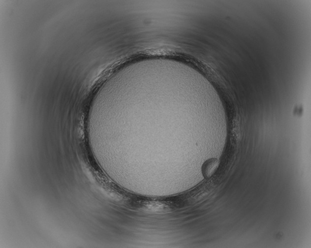 X0000115090547200911171220