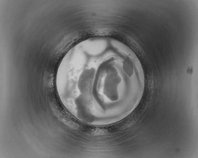 X0000115090549200911171220