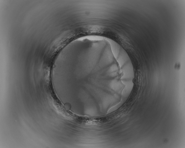 X0000115090550200911171220