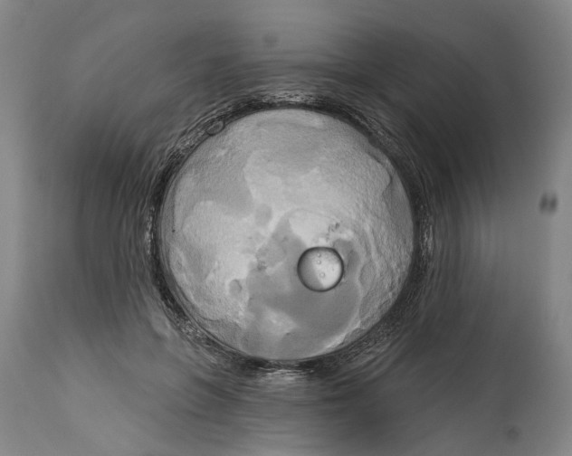 X0000115090551200911171220