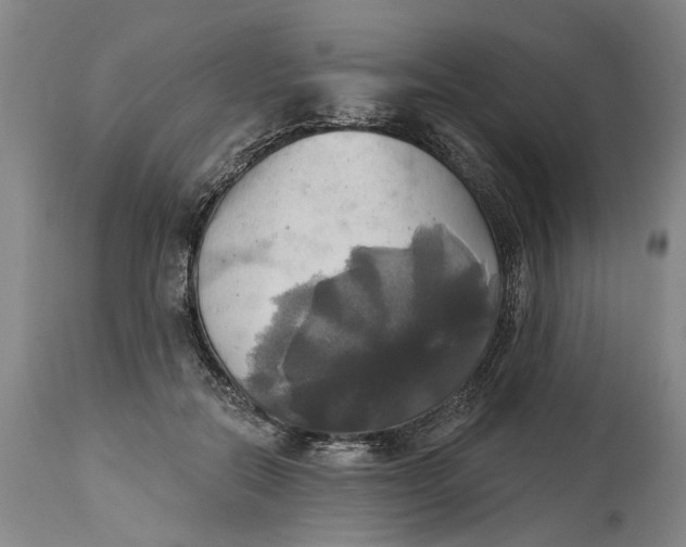 X0000115090554200911171220