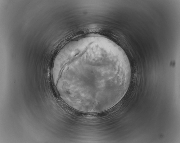 X0000115090555200911171220