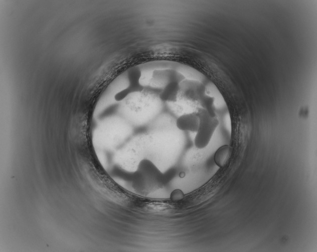 X0000115090557200911171220