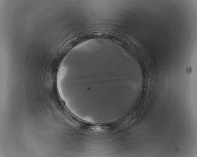 X0000115090558200911171220