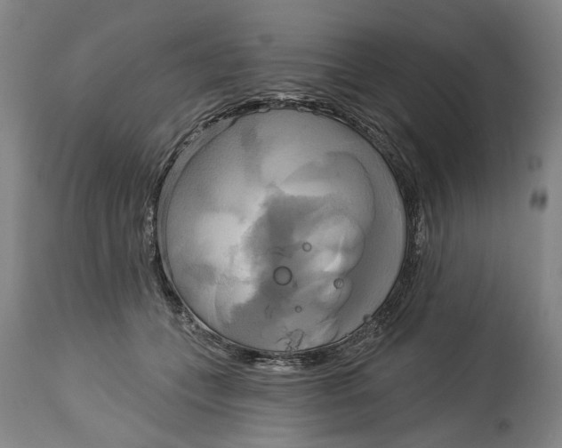 X0000115090559200911171220