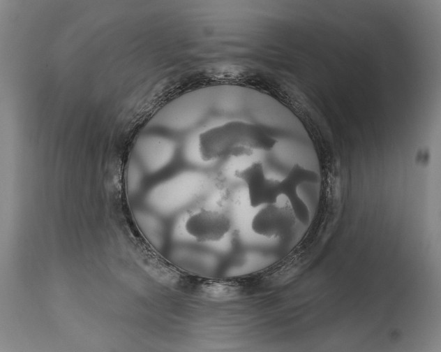 X0000115090561200911171220
