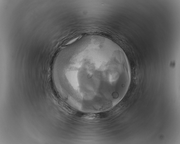 X0000115090563200911171220