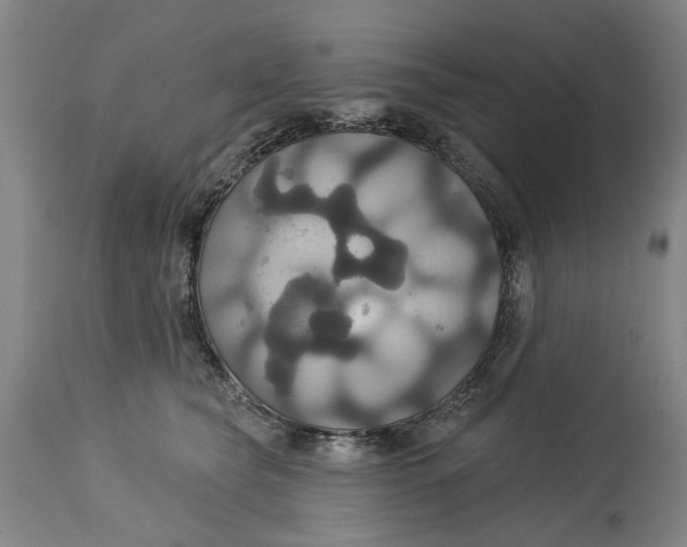 X0000115090565200911171220