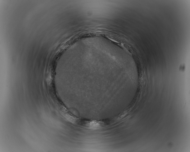 X0000115090566200911171220