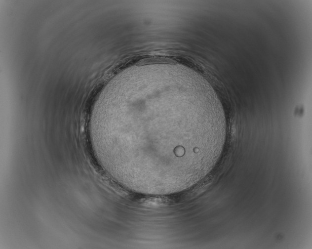 X0000115090567200911171220