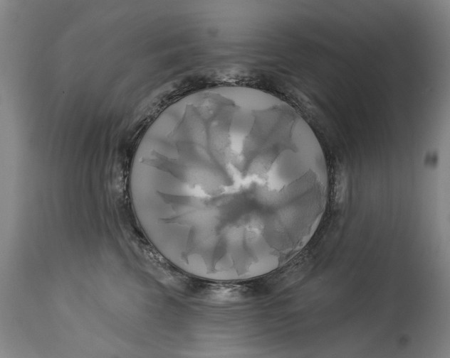 X0000115090569200911171220