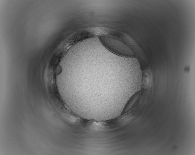 X0000115090573200911171220