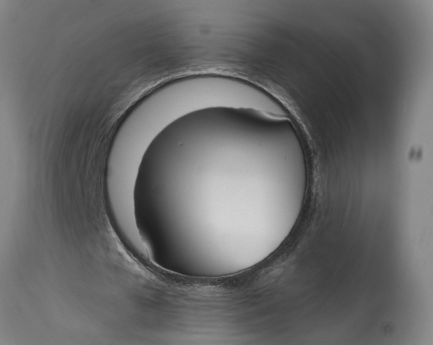 X0000115090577200911171219
