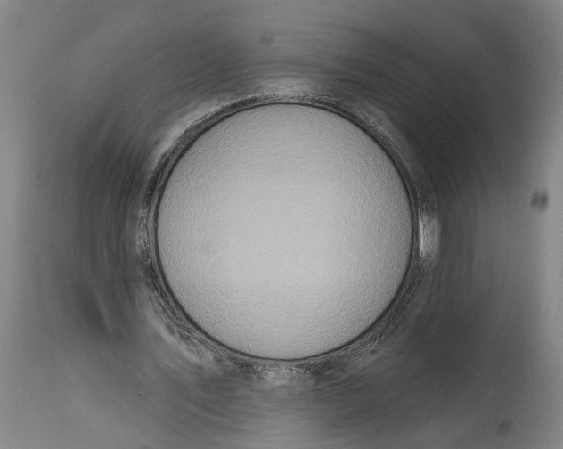 X0000115090579200911171219