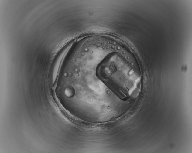 X0000115090581200911171219