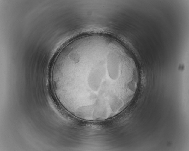 X0000115090582200911171219