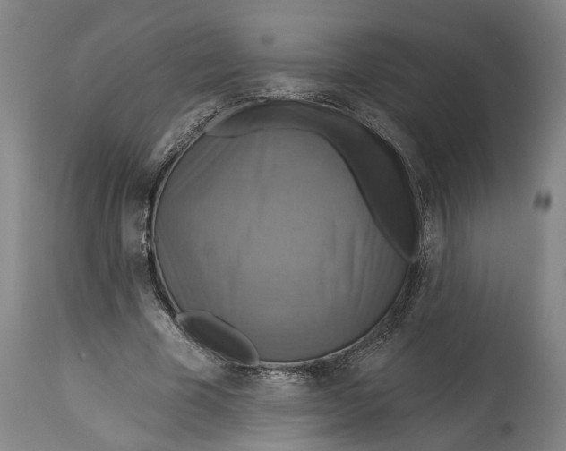 X0000115090585200911171219
