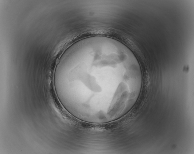 X0000115090586200911171219