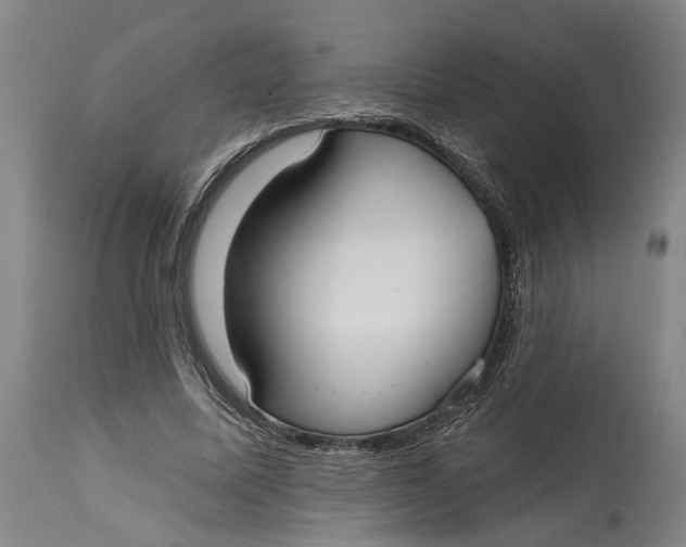 X0000115090587200911171219