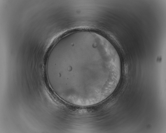 X0000115090588200911171219