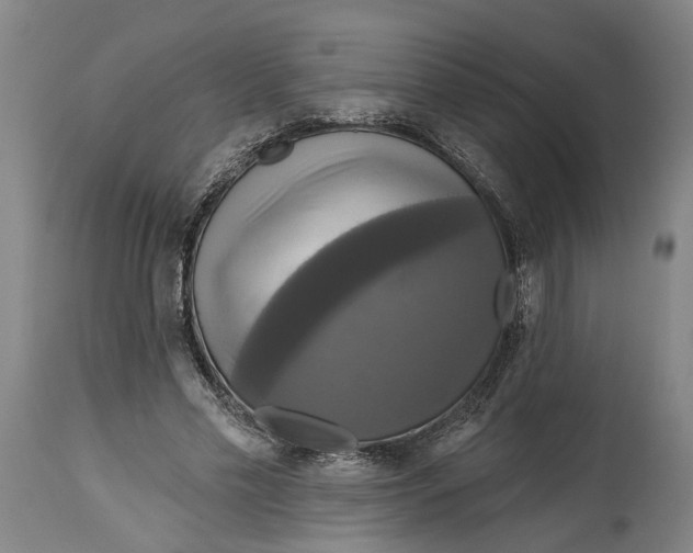 X0000115090589200911171219